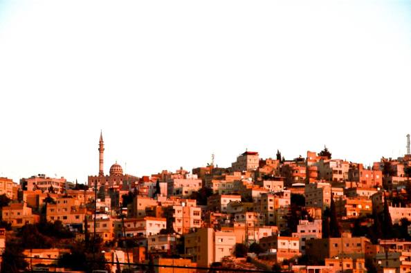 Amman horizon